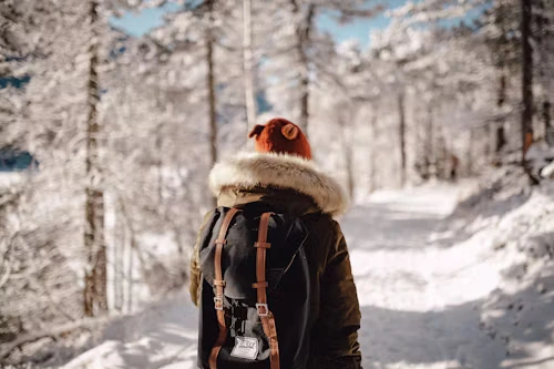 SprayGround Backpack